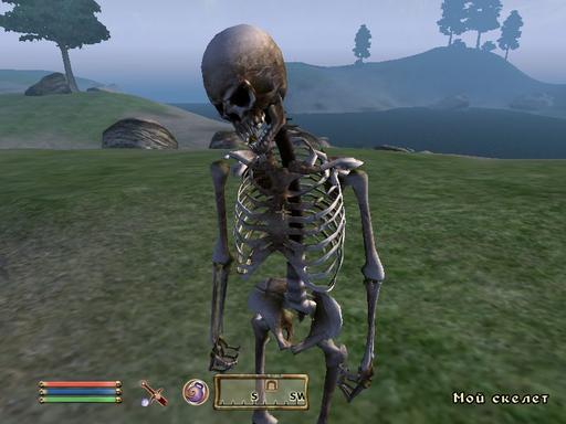 Elder Scrolls IV: Oblivion, The - Путь некроманта.